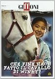 Che Fine ha Fatto il Cavallo di Winky?