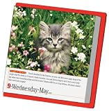 Cal 2012 365 Cats (Page a Day Calendar)