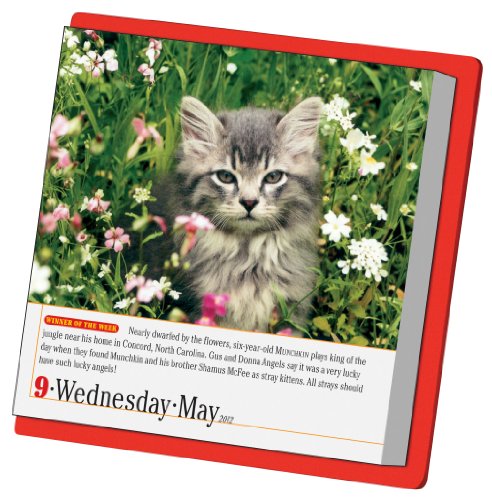 365 Cats Page-a-Day 2012 Calendar (Page a Day Calendar) [Calendar]