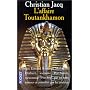 L'Affaire Toutankhamon de Christian Jacq