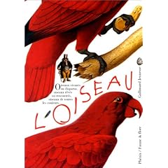 L'oiseau