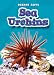Book Sea Urchins (Blastoff! Readers, Oceans Alive)