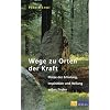 Wege zu Orten der Kraft: Pl�tze der Erholung, Inspiration und Heilung selber finden