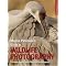 visit africa on a photographic safari?