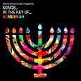 Erran Baron Cohen Presents: Songs In The Key Of Hanukkah