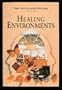 Healing Environments: Your Guide to Indoor Well-Being