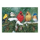 Cardinals & Friends Jigsaw Puzzle 550pc