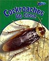 Cockroaches Up Close (Perspectives)