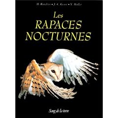 Les rapaces nocturnes