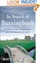 In Search of Burningbush