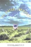 The Virtual Community: Homesteading on the Electronic Frontier
