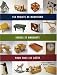 150 projets de menuiserie : Faciles, amusants et pour tous les go�ts