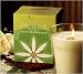Pacifica 5.5 oz Soy Boxed Glass Candle
