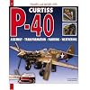 Curtiss P-40: Assembly, Transformation, Painting, Weathering (Planes and Model Kits)