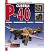 Curtiss P-40: Assembly, Transformation, Painting, Weathering (Planes and Model Kits)