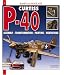 Search : P-40 CURTISS (Planes and Model Kits)