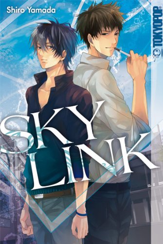 Produkt-Bild: Sky Link