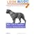 Essential Mac OS X Panther Server Administration