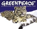 Greenpeace Standing Up For The Earth 2007 Calendar