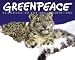Greenpeace Calendar