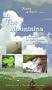 In The Mountains - a Reverie by David Crews [VHS]