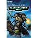 Warhammer 40,000 - Der Graue Jäger
