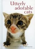 Utterly Adorable Cats (Hanadeka)