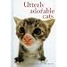 Utterly Adorable Cats (Helen Exley Giftbooks)