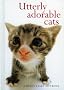 Utterly Adorable Cats (Hanadeka)
