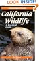 Foghorn Outdoors: California Wildlife