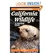 Foghorn Outdoors: California Wildlife