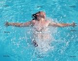 'Swimmer Gasping For Air' Wall Decal - 24