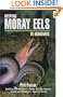 Keeping Moray Eels in Aquariums
