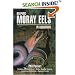 Keeping Moray Eels In Aquariums