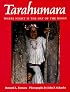 Tarahumara: Where Night is the Day of the Moon
