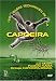 Basic Techniques of Capoeira-D