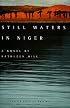 Still Waters in Niger