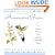 Creating a Hummingbird Garden