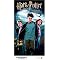 Get a gift for a Harry Potter fan? Get a book!