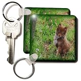 Rebecca Anne Grant Photography Designs Dogs - Beaver White Markings Pomeranian PuppyGreen Background Blended Frame - Key Chains