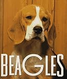 Beagles (Little Books)