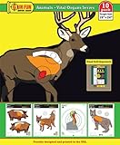 Animals with Vital Organs Series - 19" x 24" 10 Pack