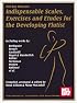 Mel Bay Indispensable Scales, Exercises, and Etudes for the Developing Flutist