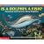 Is a Dolphin a Fish? Scholastic Q & A (Scholastic Question & Answer) (Scholastic Question & Answer)