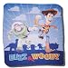 Toy Story "Protecting Toys" Oversized 50" x 60" Fleece Blanket