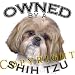 shih tzu - Shih Tzu 