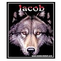 Jacob's Awakening Locker Fashion Magnet