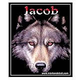 Jacob'sAwakeningLockerFashionMagnet