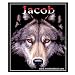 Jacob's Awakening Laptop/Binder Sticker