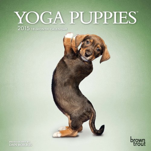 Yoga Puppies 2015 Mini 7x7 (Multilingual Edition)
